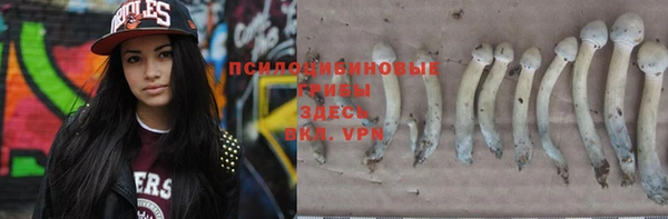 Альфа ПВП Белоозёрский