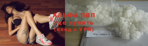 герыч Пересвет