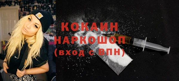 крисы Белокуриха