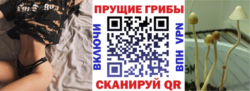 Псилоцибиновые грибы Psilocybine cubensis  KRAKEN зеркало  Котельниково 